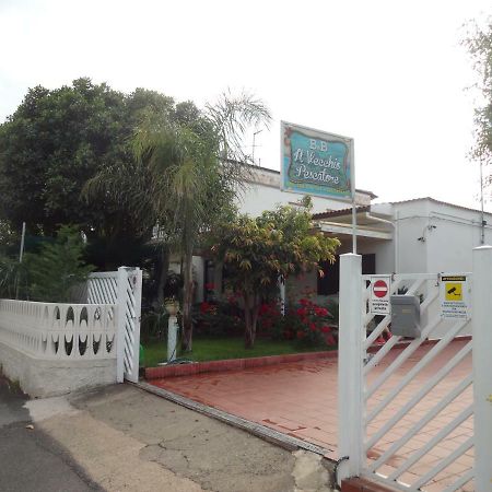 Il Vecchio Pescatore Bed & Breakfast Amendolara Exterior foto